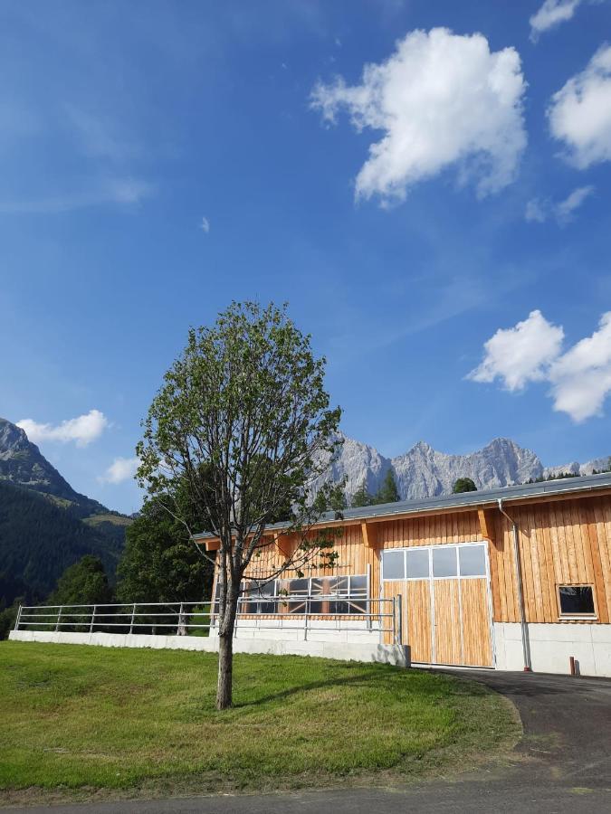 Appartement Muehlebnerhof Ramsau am Dachstein Esterno foto