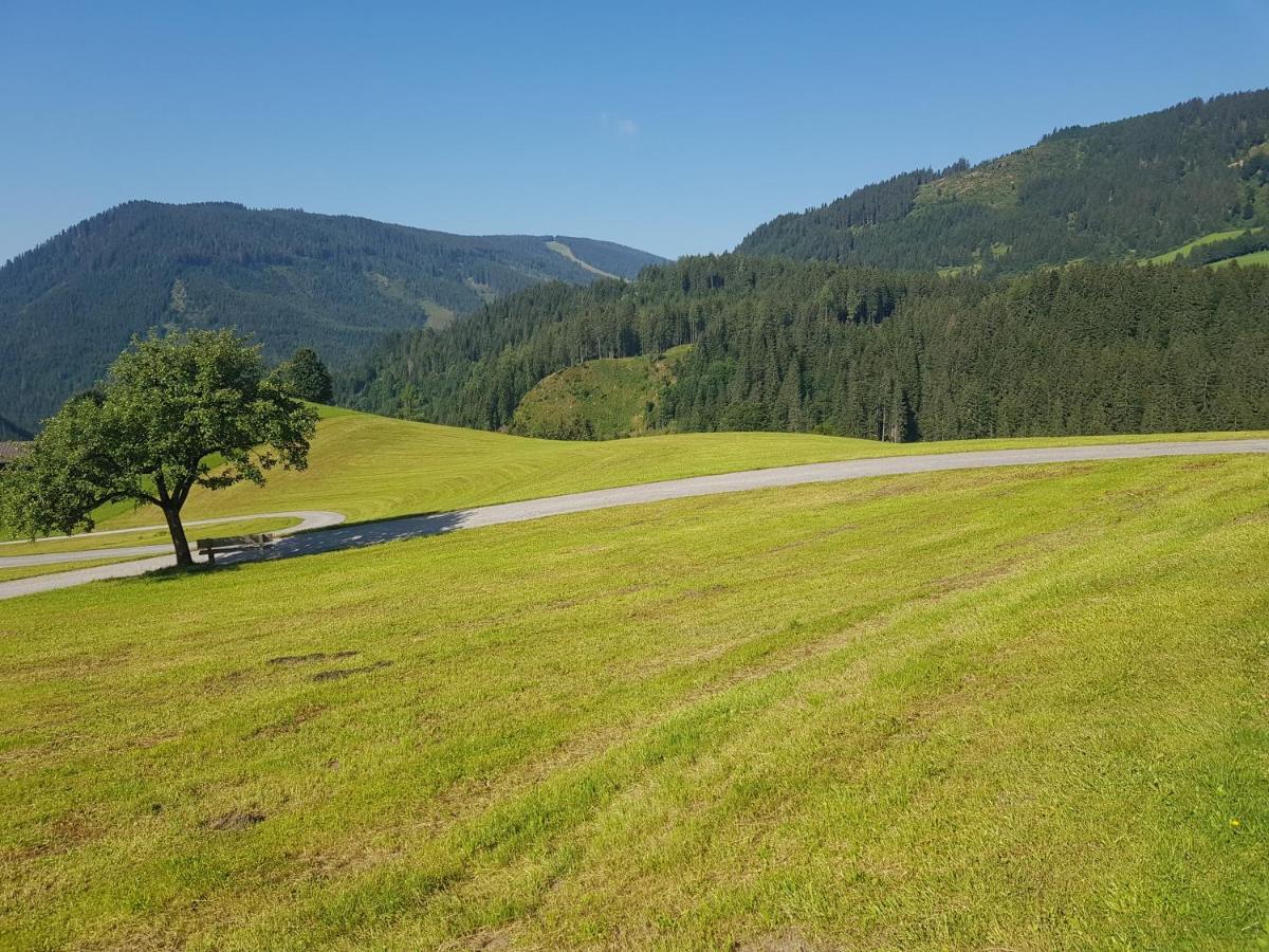 Appartement Muehlebnerhof Ramsau am Dachstein Esterno foto
