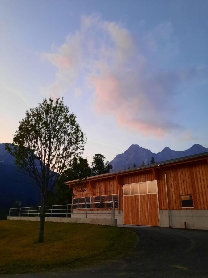 Appartement Muehlebnerhof Ramsau am Dachstein Esterno foto