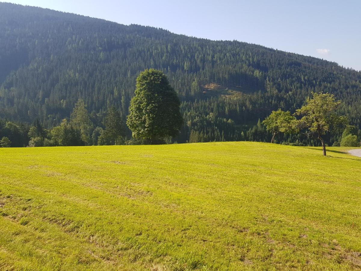 Appartement Muehlebnerhof Ramsau am Dachstein Esterno foto