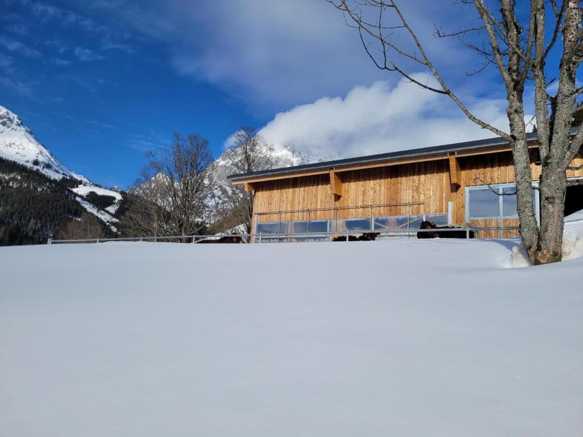 Appartement Muehlebnerhof Ramsau am Dachstein Esterno foto